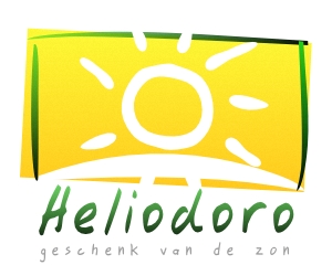 plaatsers van zonnepanelen Bazel | Heliodoro BVBA